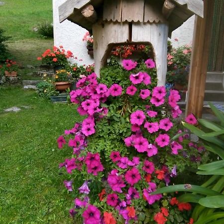 B&B Pra' Dei Cervi Telve Esterno foto