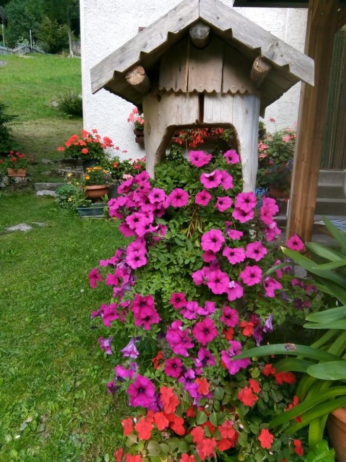B&B Pra' Dei Cervi Telve Esterno foto