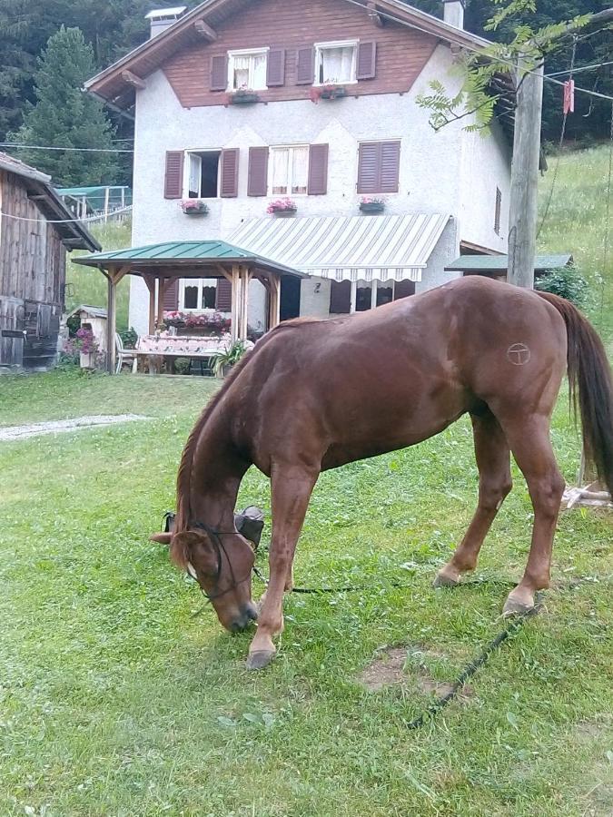 B&B Pra' Dei Cervi Telve Esterno foto