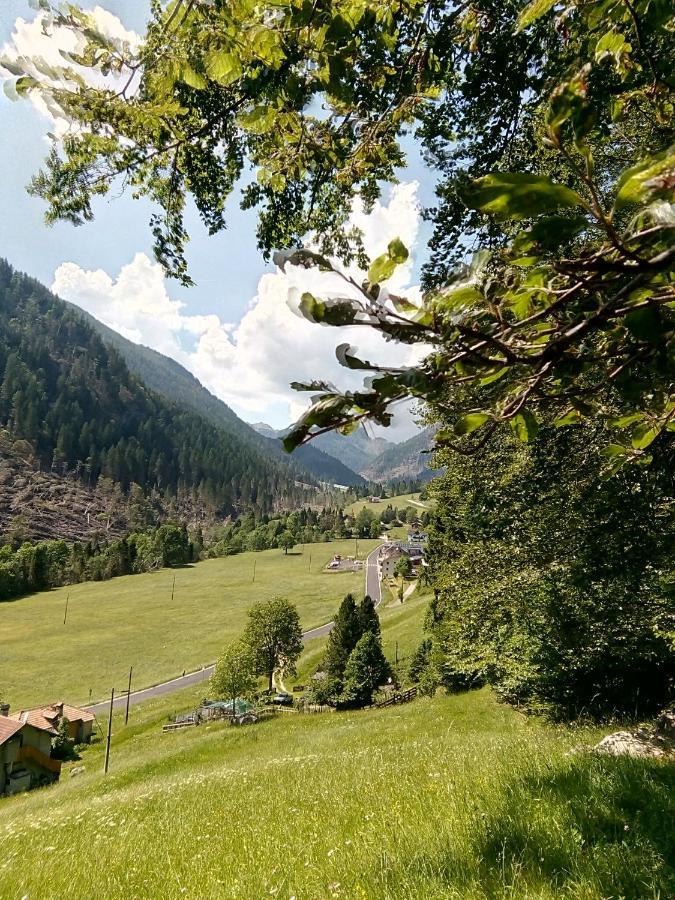 B&B Pra' Dei Cervi Telve Esterno foto