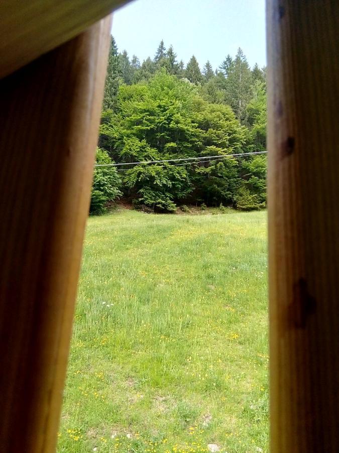 B&B Pra' Dei Cervi Telve Esterno foto