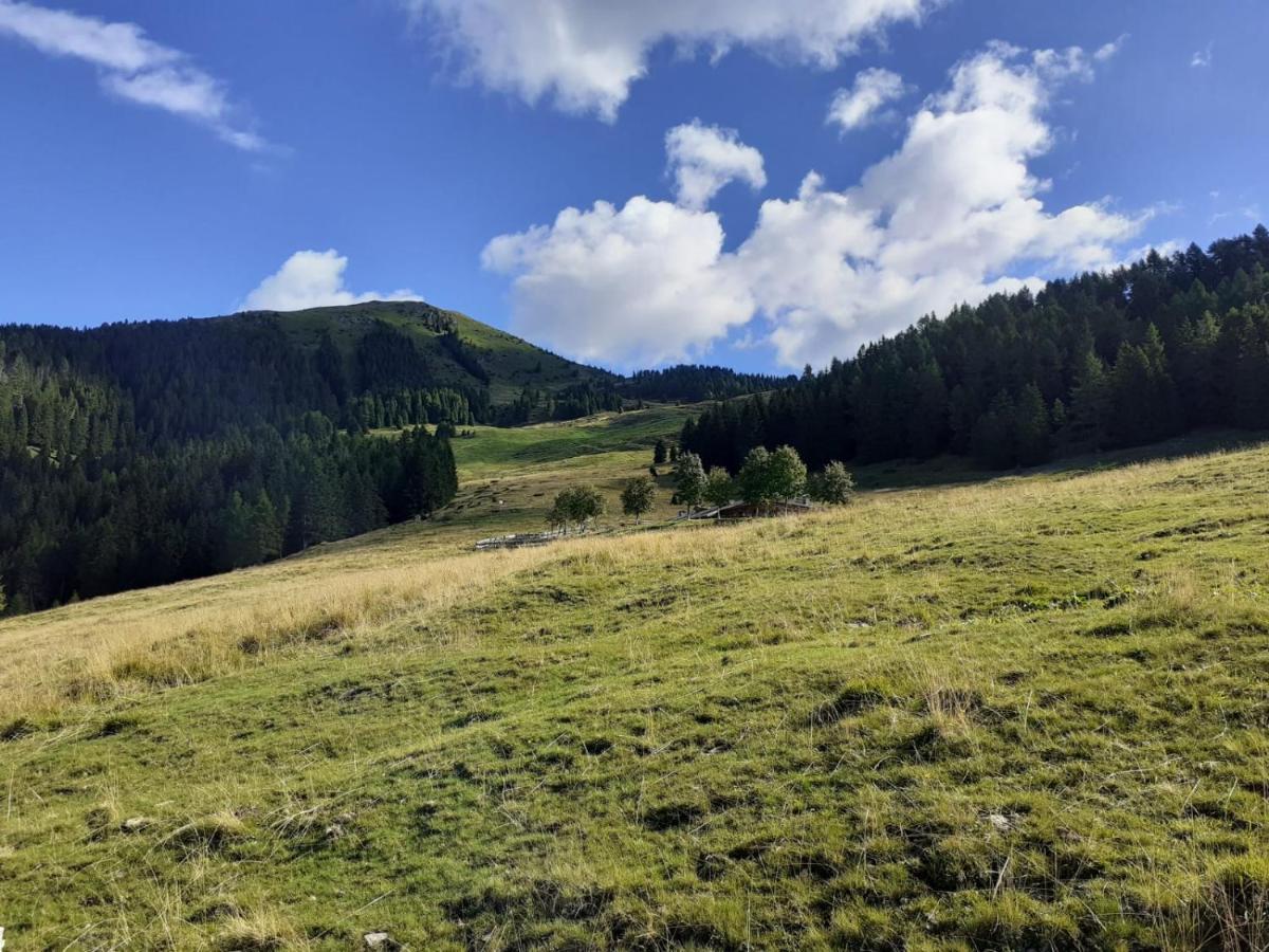 B&B Pra' Dei Cervi Telve Esterno foto