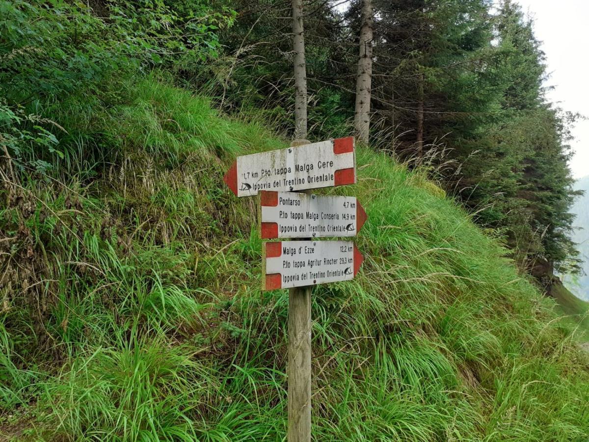 B&B Pra' Dei Cervi Telve Esterno foto