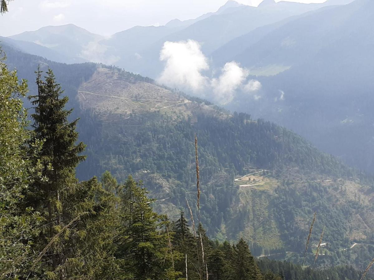 B&B Pra' Dei Cervi Telve Esterno foto