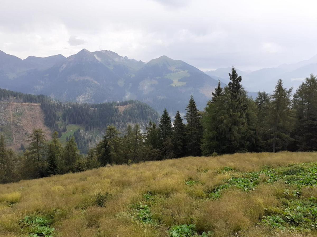 B&B Pra' Dei Cervi Telve Esterno foto