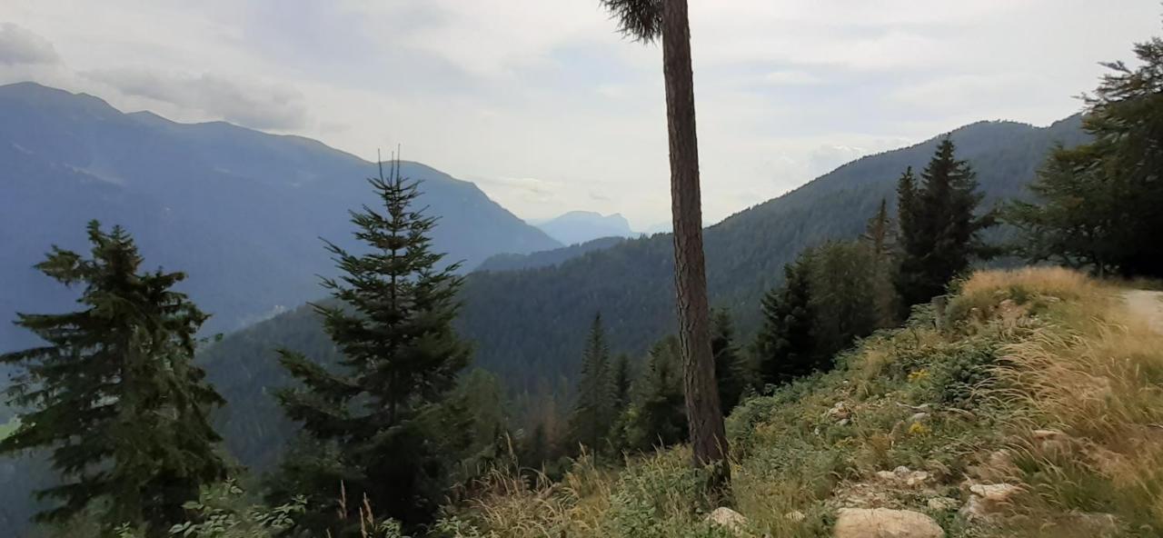 B&B Pra' Dei Cervi Telve Esterno foto