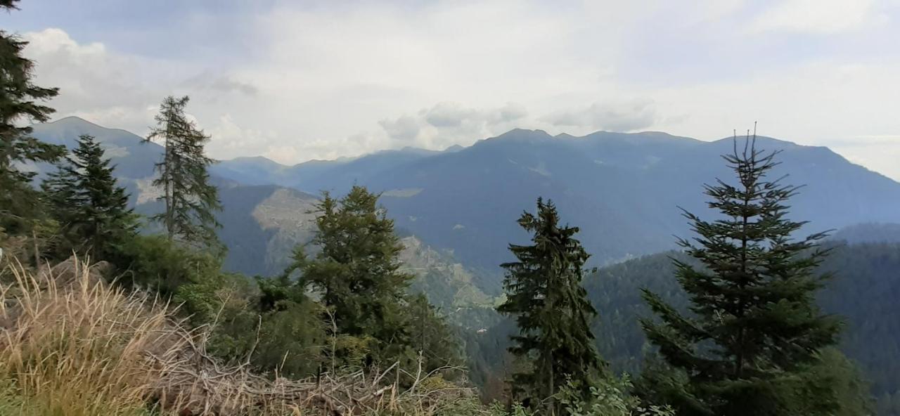 B&B Pra' Dei Cervi Telve Esterno foto