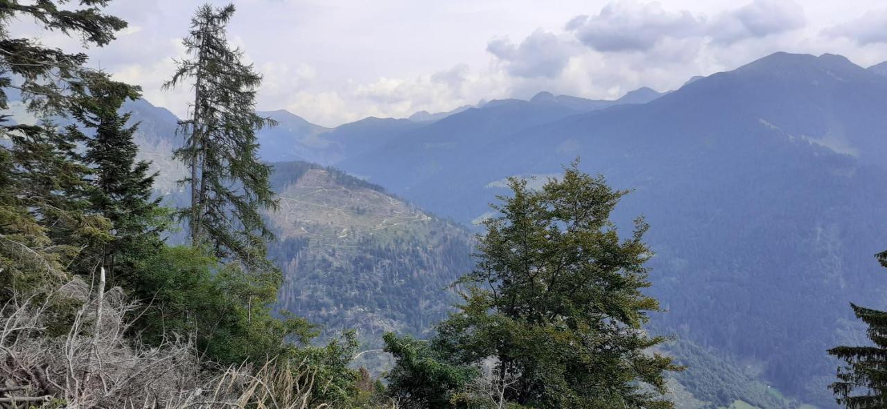 B&B Pra' Dei Cervi Telve Esterno foto